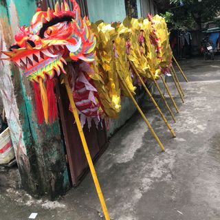 mẫu rồng vảy nổi 3D bảy màu 2019 phục vụ bà con nhân dân các tỉnh trên toàn quốc