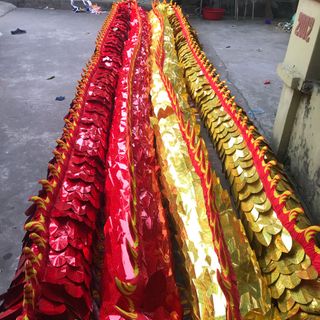 mẫu rồng vảy nổi 3D bảy màu 2019 phục vụ bà con nhân dân các tỉnh trên toàn quốc