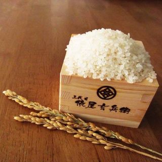 GẠO NHẬT HOKKAIDO NANATSUBOSHI- TIM KIẾM THỊ TRƯỜNG HORECA ĐẠI LÝ CÁC TỈNH