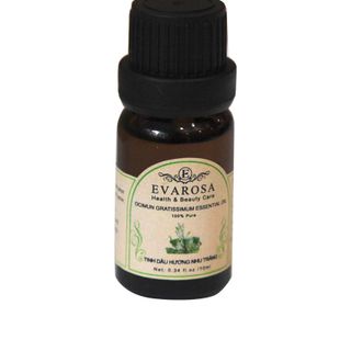 Tinh dầu Hương Nhu Trắng Evarosa chai 10ml