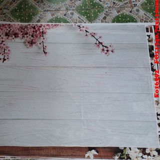 Vải phông nền Fo16592-FO11740 70x110cm