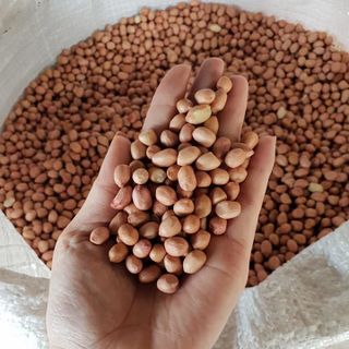 Lạc nhân giá rẻ liên hệ em Huấn
