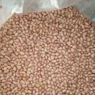 Lạc nhân giá rẻ liên hệ em Huấn