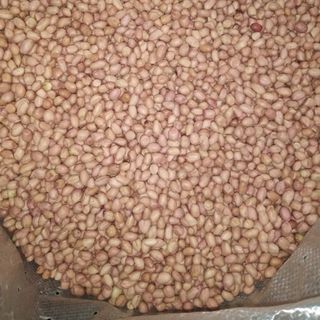 Lạc nhân giá rẻ liên hệ em Huấn