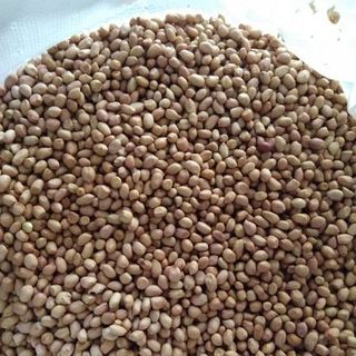 Lạc nhân giá rẻ liên hệ em Huấn