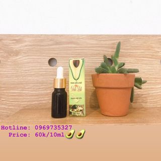 Tinh Dầu Bơ Đắk Lắk