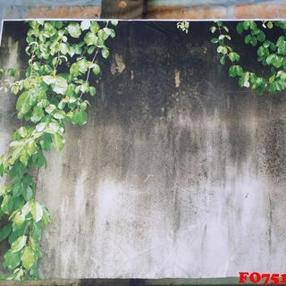 Vải phông nền FO7516 70x110cm