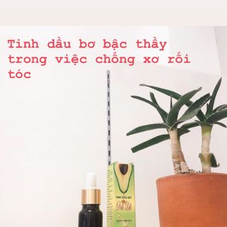 Tinh Dầu Bơ Đắk Lắk