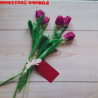 Vải phông nền FO8060 70x110cm