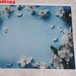 Vải phông nền FO14308 70x110cm