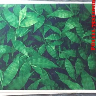 Vải phông nền FO1111 75x110cm