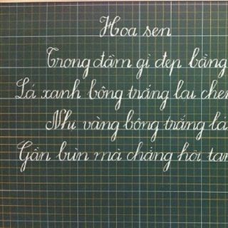 Bảng từ xanh viết phấn kẻ ô li Tiểu học KT 06x08m