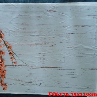 Vải phông nền FO6170 75x110cm