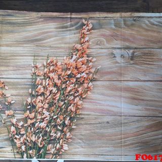 Vải phông nền FO6172 70x110cm