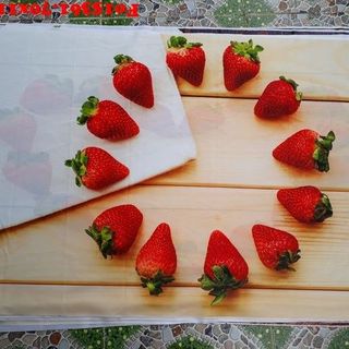 Vải phông nền Fo15361 70x110cm