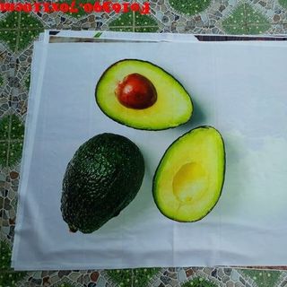 Vải phông nền Fo16390 70x110cm