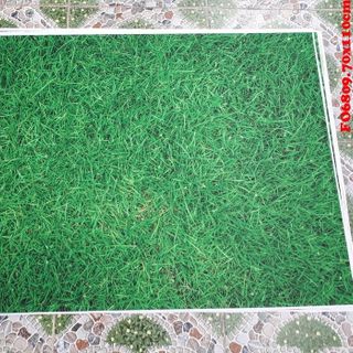 Vải phông nền FO6809 70x110cm