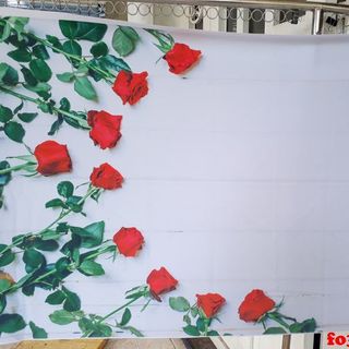 Vải phông nền fo3916 75x125