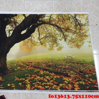 Vải phông nền fo13613 70x110cm