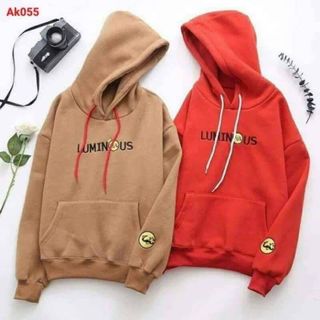 Áo Hoodie