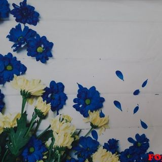 Vải phông nền FO3919 75x125