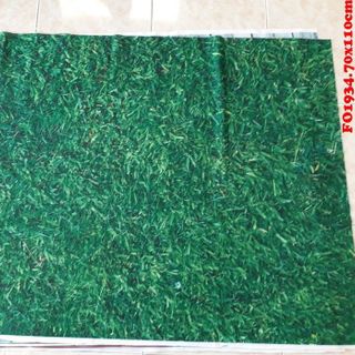 Vải phông nền FO1934 70x110cm