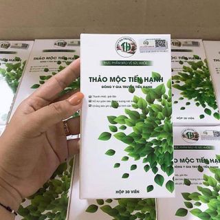 Trà Thảo Mộc Tiến Hạnh