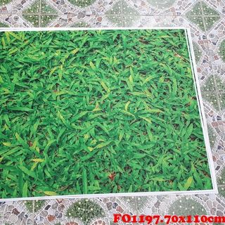 Vải phông nền FO1197 70x110cm