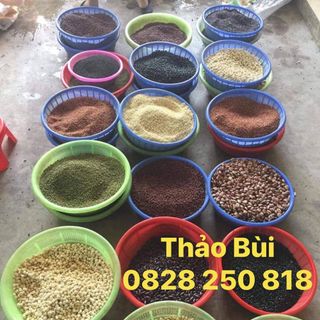 Ngũ cốc dinh dưỡng