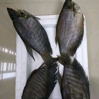 khô cá sặc lò tho