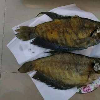 khô cá sặc lò tho