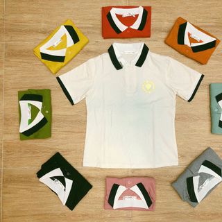 Áo thun cổ bẻ xuông