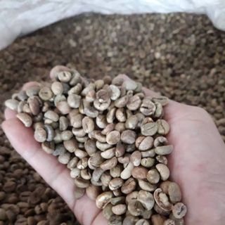 Cà phê nhân cà phê nguyên liệu cà phê nhân robusta