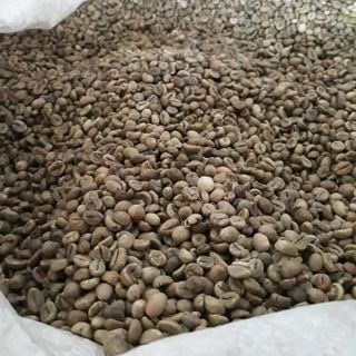 Cà phê nhân cà phê nguyên liệu cà phê nhân robusta