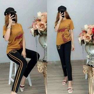 sét bộ thun cotton