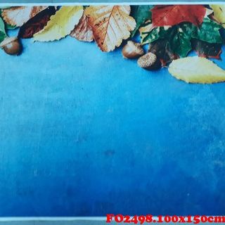 Vải phông nền FO2498 100x140cm