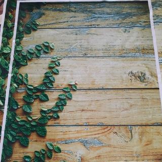 Vải phông nền fo3255 100x140cm