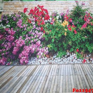 Vải phông nền Fo11547 100x140cm