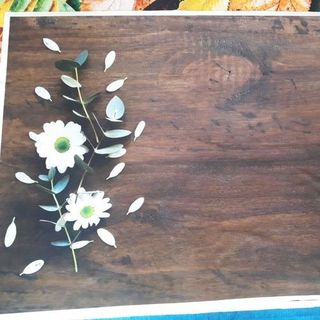 Vải phông nền FO3833 100x140cm