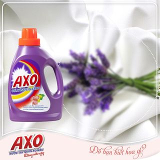 AXO HƯƠNG HOA LAVENDER - can 5L