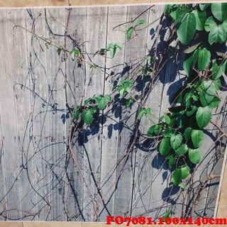 Vải phông nền FO7081 100x140cm