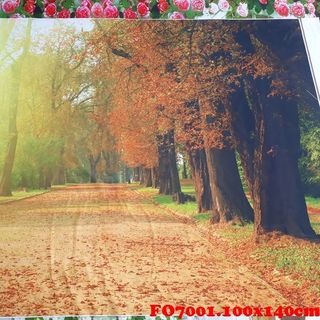 Vải phông nền FO7001 100x140cm