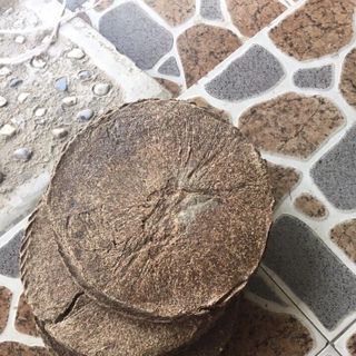 Bánh dầu đậu phộng / bã dầu đậu phộng