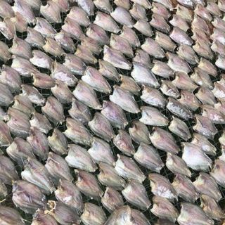 khô cá sặc bướm