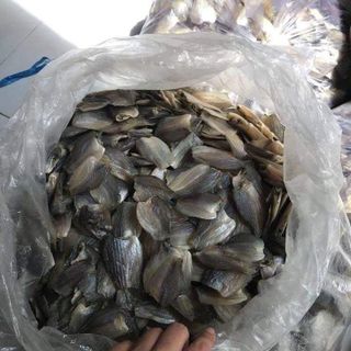 khô cá sặc bướm