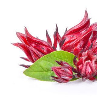 Hoa atiso đỏ sấy - túi 100g