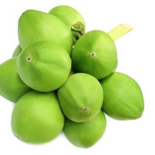 DỪA SẤY DẺO