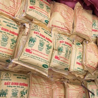 Đất dinh dưỡng Đất sạch trồng cây