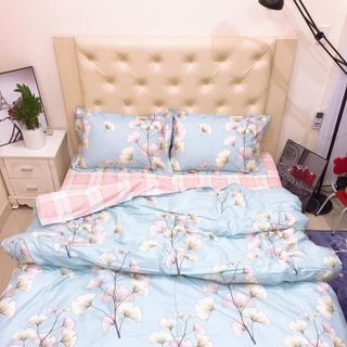 Chăn ga gối cotton Demi 100