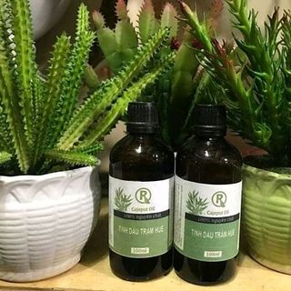tinh dầu tràm huế chai 100ml